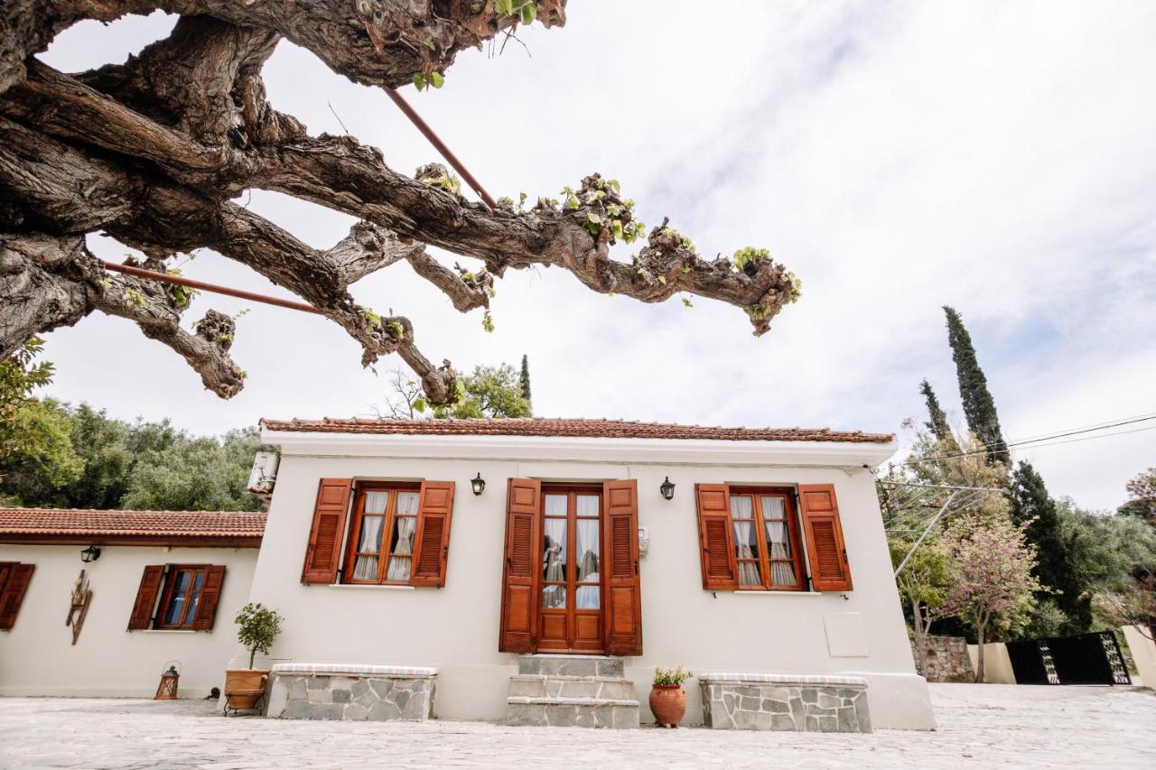 בית נופש Kymanemi Zakynthos House