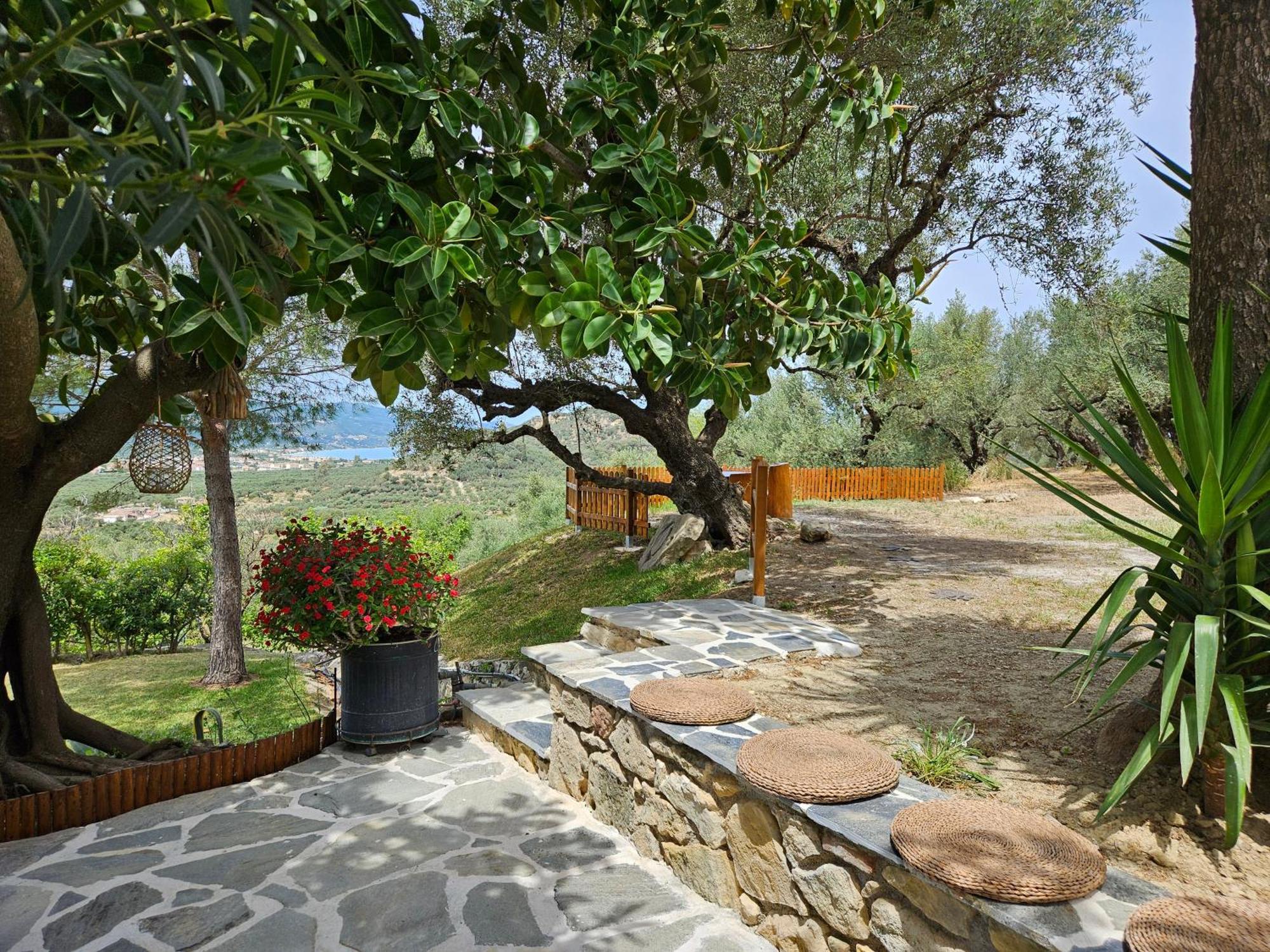 Kymanemi Zakynthos House * Áno Yerakaríon