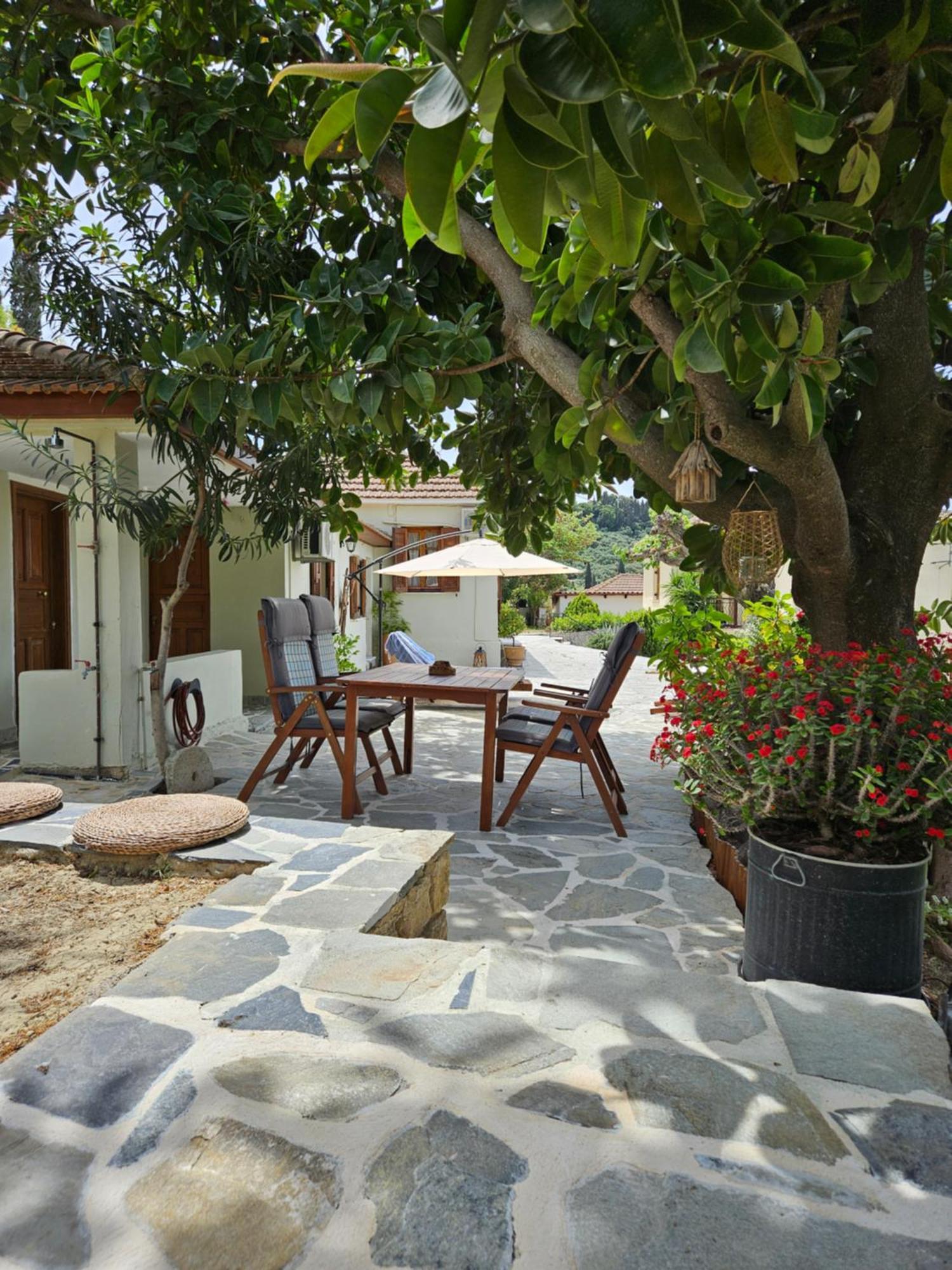 Kymanemi Zakynthos House * Ano Yerakarion
